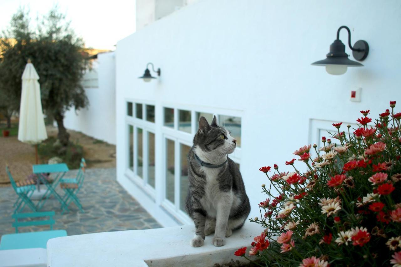 A Casa Da Cerca Hotel Almodovar Luaran gambar